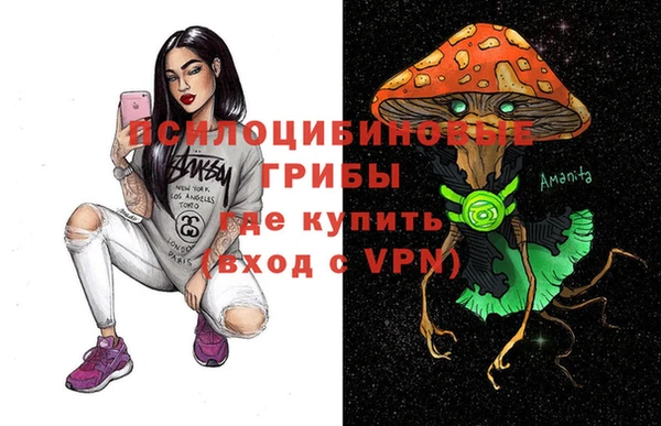 гидропоника Арсеньев